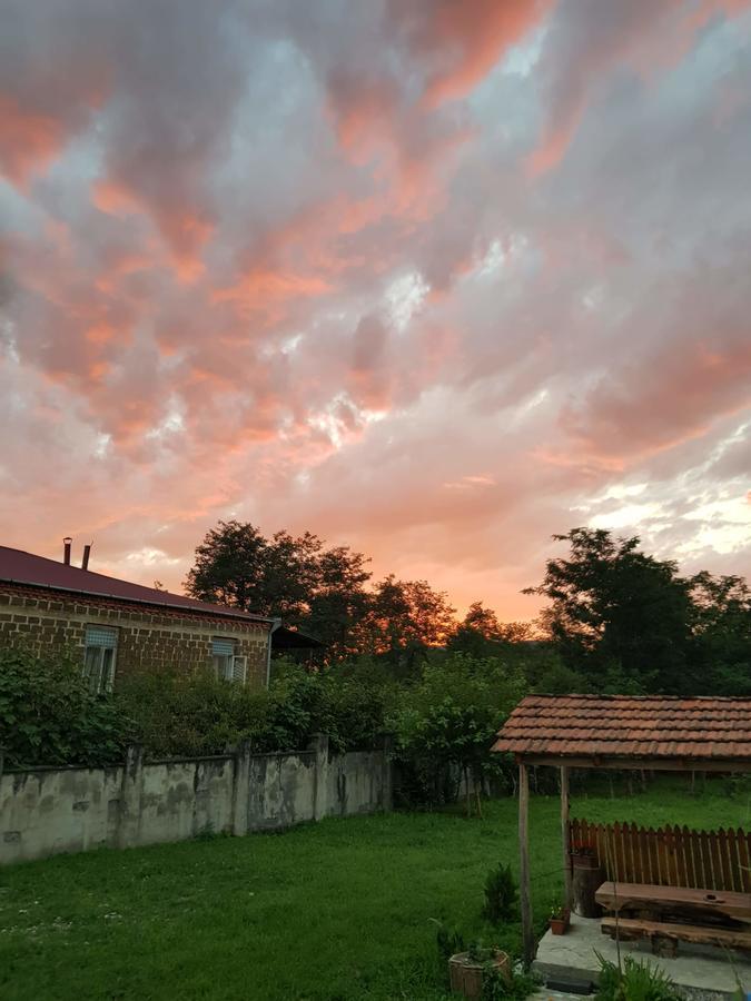 Martvili Newhotel Dış mekan fotoğraf
