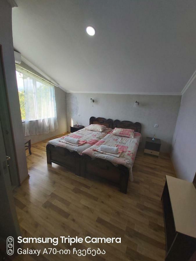 Martvili Newhotel Dış mekan fotoğraf