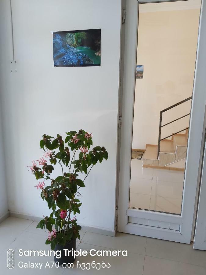 Martvili Newhotel Dış mekan fotoğraf
